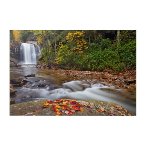 Looking Glass Falls Pisgah National Forest Acrylic Print