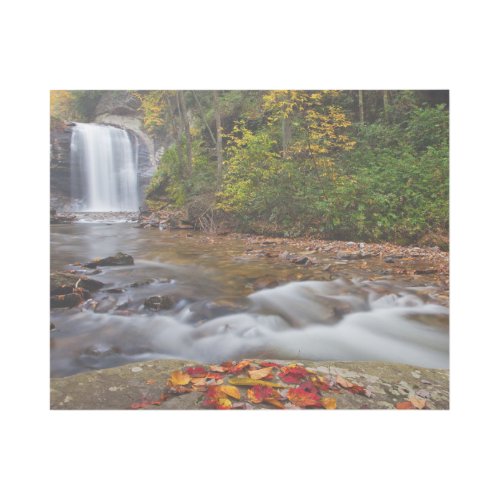 Looking Glass Falls Pisgah National Forest Gallery Wrap