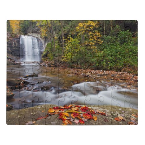 Looking Glass Falls Pisgah National Forest Jigsaw Puzzle