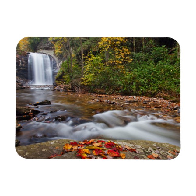 Looking Glass Falls Pisgah National Forest Magnet (Horizontal)