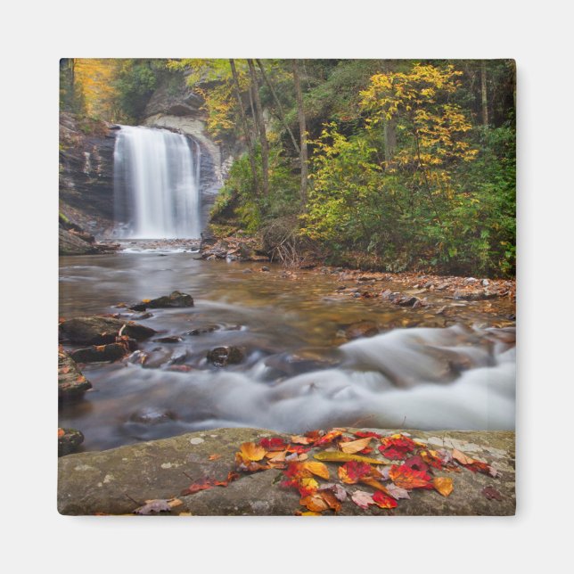 Looking Glass Falls Pisgah National Forest Magnet (Front)