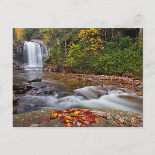 Looking Glass Falls Pisgah National Forest Postcard (Front)