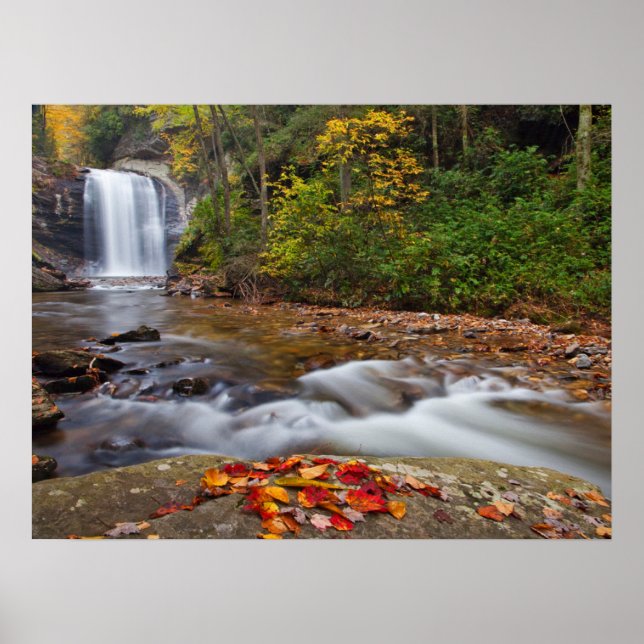 Looking Glass Falls Pisgah National Forest Poster (Front)