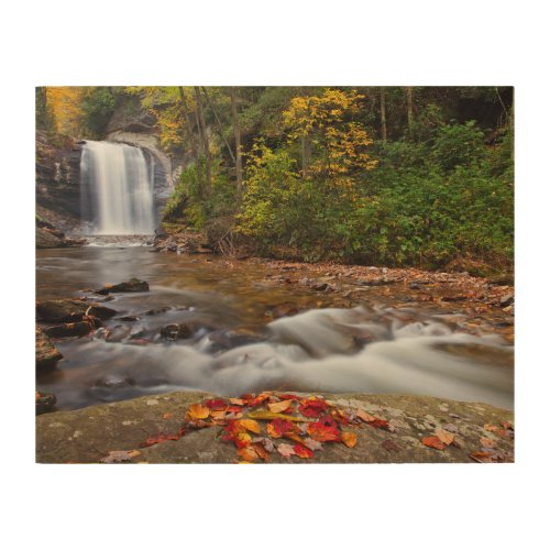 Looking Glass Falls Pisgah National Forest Wood Wall Art