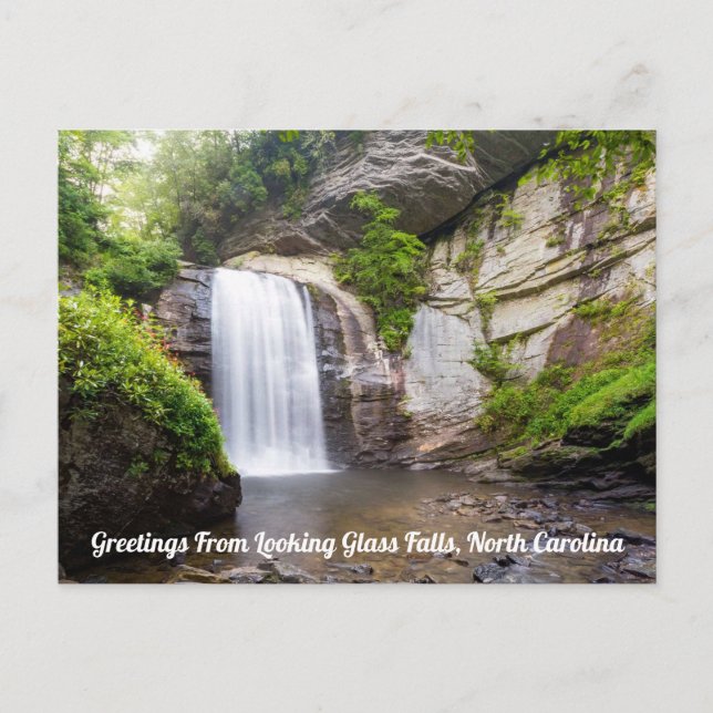 Looking Glass Falls Postcard (Front)