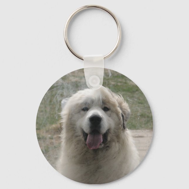 Looking Glass Keychain (Front)