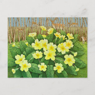 Looking Hopeful 2011 Postcard