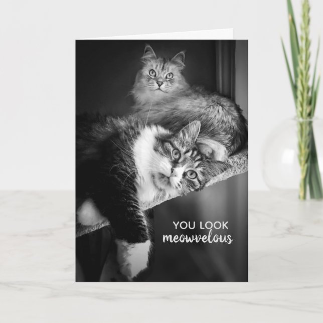 Looking Meowvelous Birthday Card (Front)