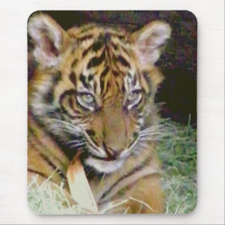 Looking_ Mouse Pad