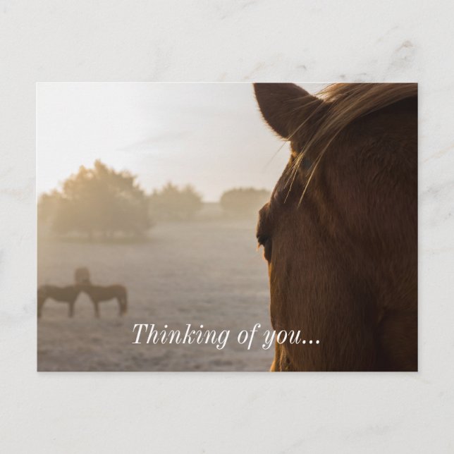 Looking Onward Thinking Of You Postcard (Front)
