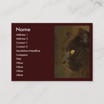 Looking Out Business Card by MarianaEwa at Zazzle