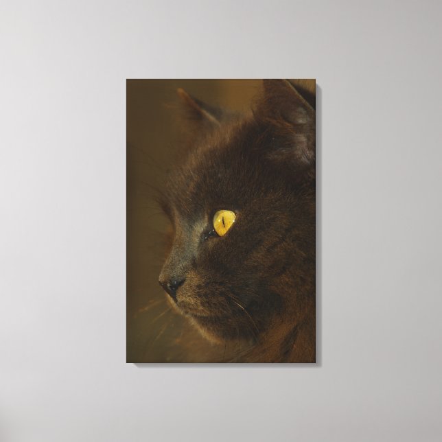 Looking Out Canvas Print (Front)