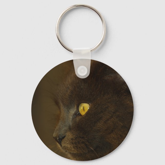 Looking Out Keychain (Front)