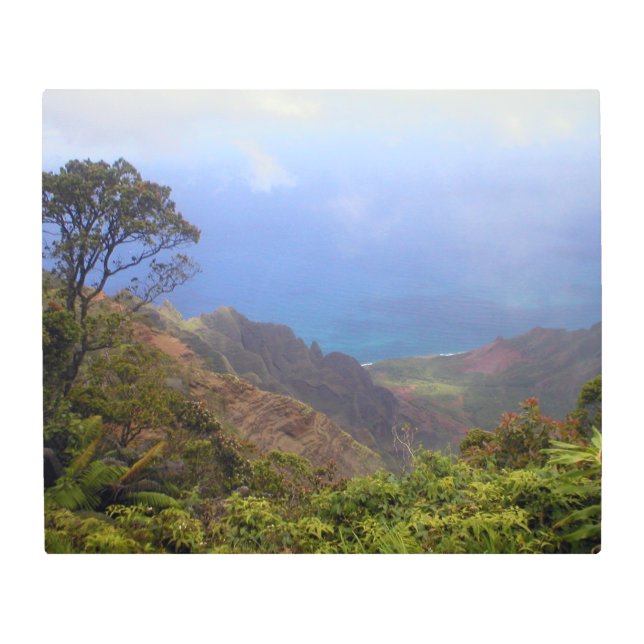 Looking out Over the Canyon on a  Metal Print (Front)
