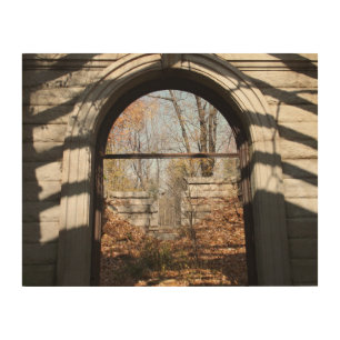Looking out Through the Ruin Wood Wall Art