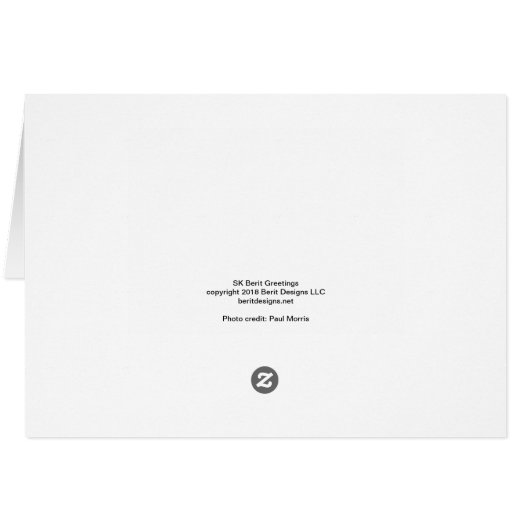 Looking Past the Demons (Back Horizontal)