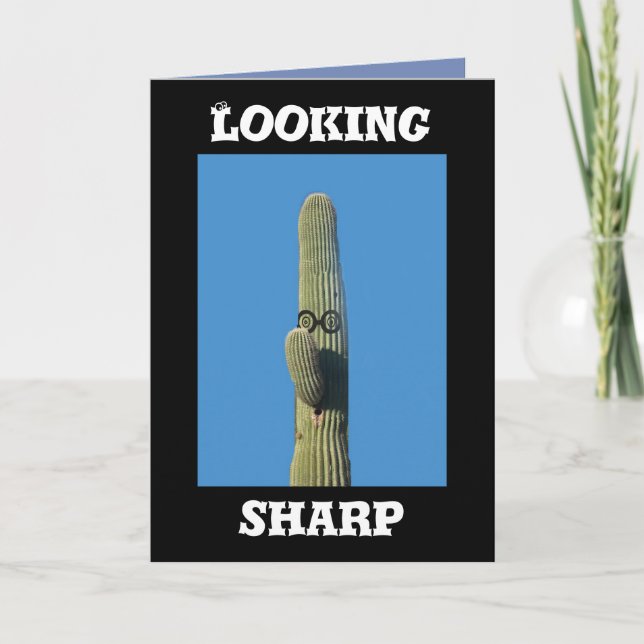 Looking Sharp Cactus Funny Birthday Card (Front)
