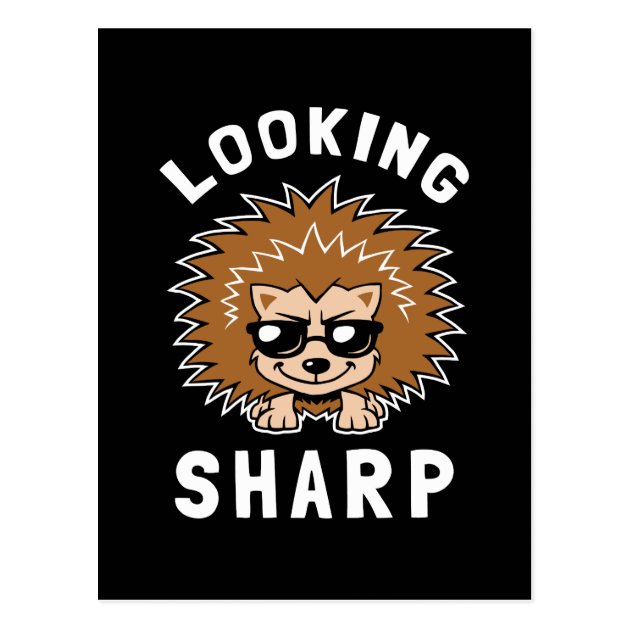 Looking Sharp Postcard | Zazzle.com