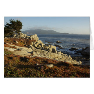 Looking South to Carmel Cards