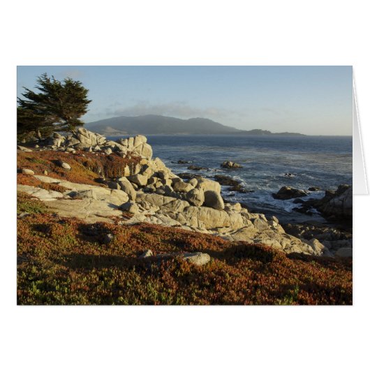 Looking South to Carmel Cards (Front Horizontal)