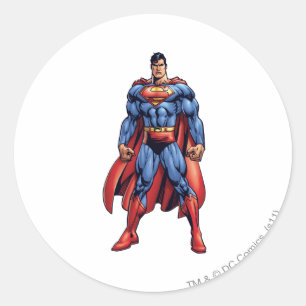 Looking Straight On Classic Round Sticker