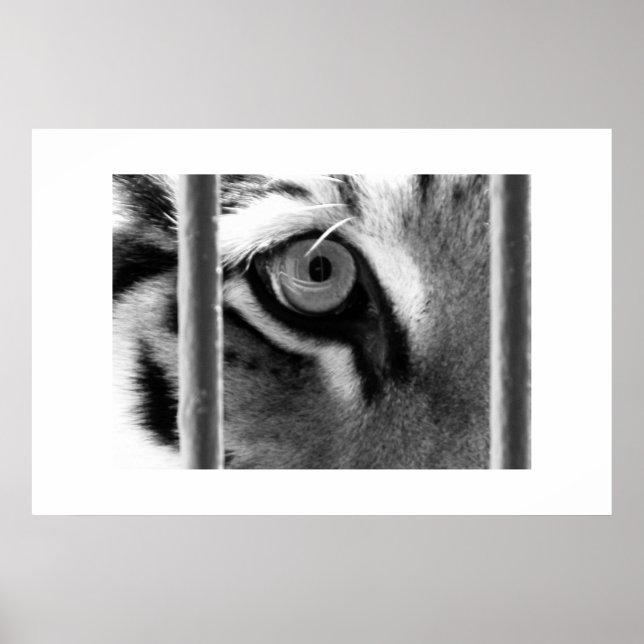 looking through poster (Front)