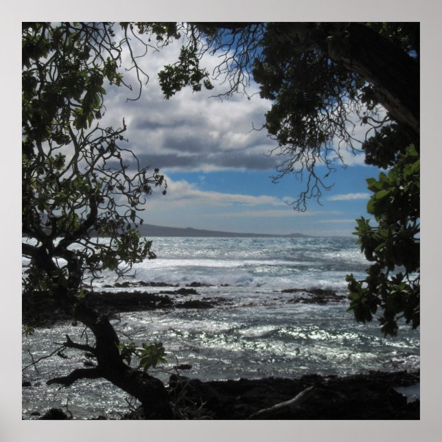 Looking Through The Window Poster (Front)