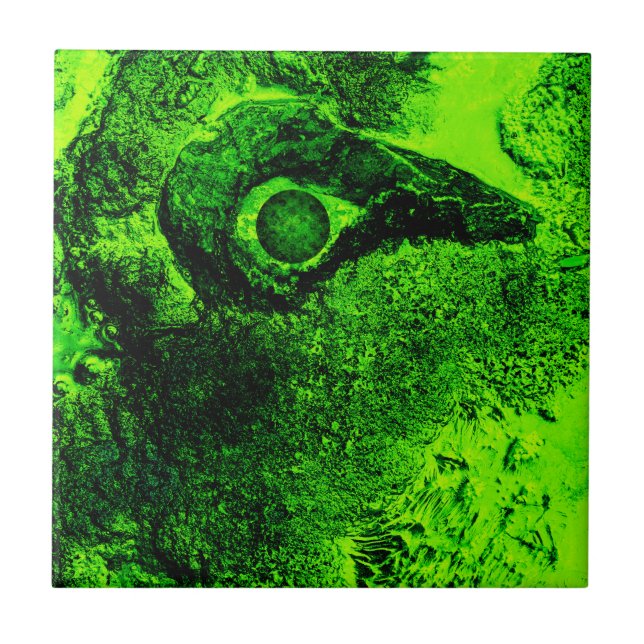looking to green ceramic tile (Front)