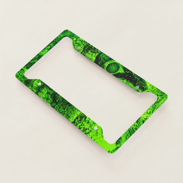 looking to green license plate frame (3/4)