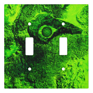 looking to green light switch cover