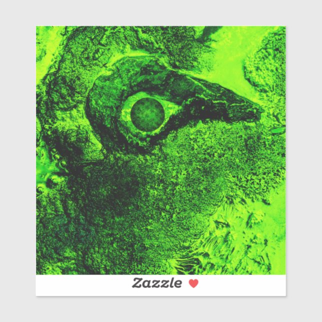 looking to green sticker (Sheet)