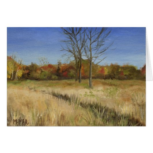 "Looking to the Edge of Nowhere" Cards (Front Horizontal)