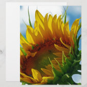 Looking Towards the Sun (Front/Back)