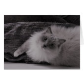 Looking Up (Front Horizontal)