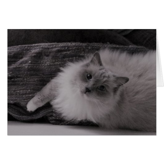 Looking Up (Front Horizontal)