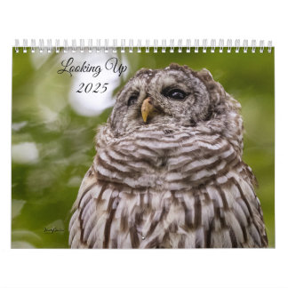 Looking Up 2025 Calendar