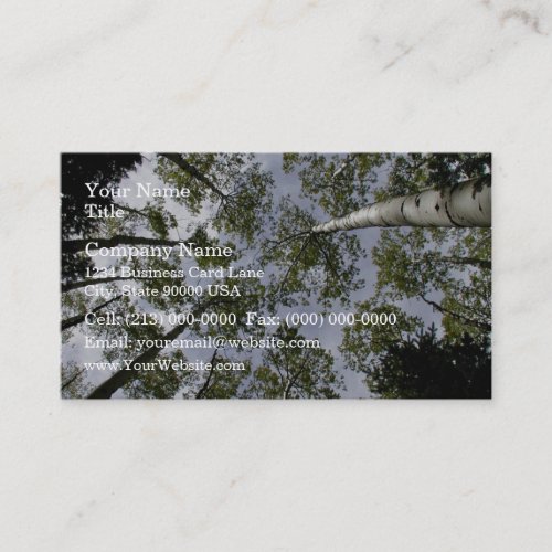 Looking Up at Aspen Trees in forest Business Cards