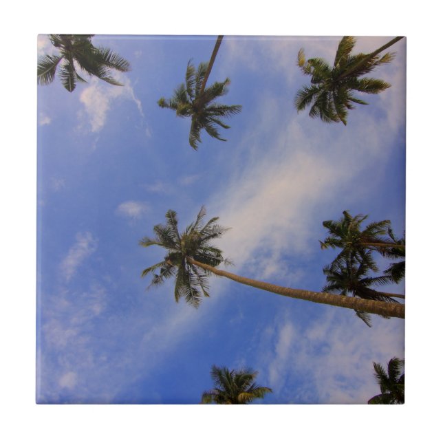 Looking up at beautiful palm trees blue sky ceramic tile (Front)