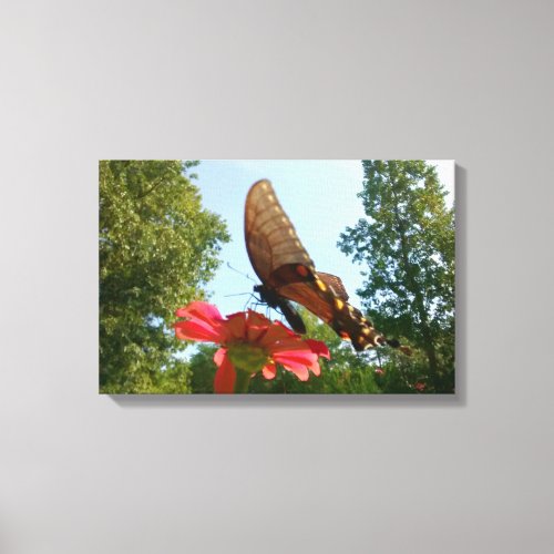Looking Up at Butterfly on Flower Side View Canvas Print