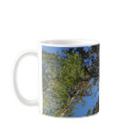 Looking Up at Mariposa Grove Coffee Mug