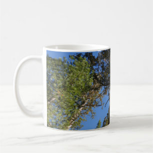 Looking Up at Mariposa Grove Coffee Mug