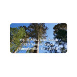 Looking Up at Mariposa Grove Label