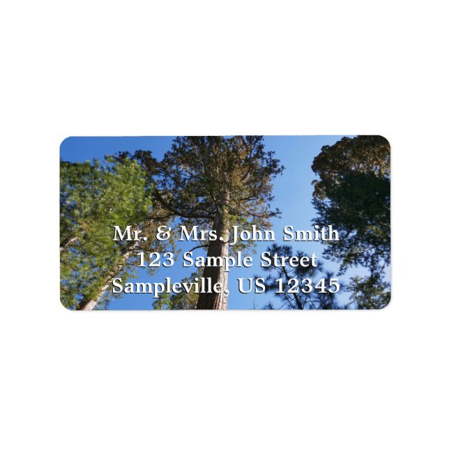 Looking Up at Mariposa Grove Label (Front)