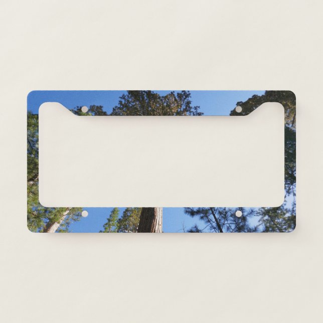 Looking Up at Mariposa Grove License Plate Frame (Front)