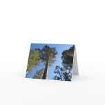 Looking Up at Mariposa Grove Note Card