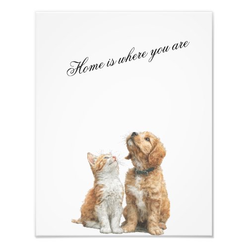 Looking Up at You – Home Is Where You Are Photo Print
