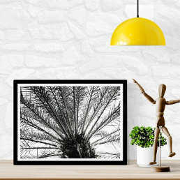 Looking Up // Black and White Florida Palm Photo Print