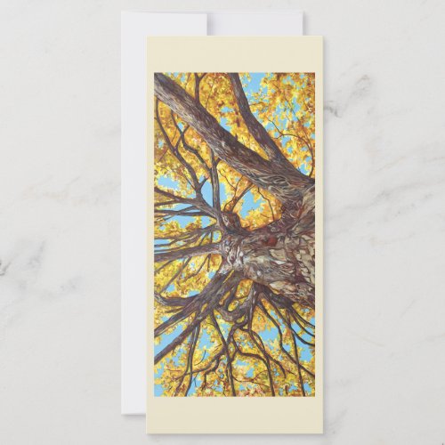 Looking Up flat card