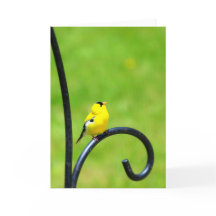 Looking Up Greeting Card