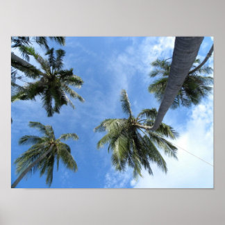 Looking Up Poster